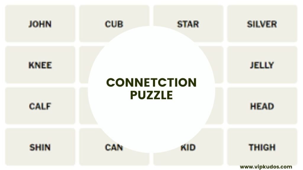 Connetction Puzzle