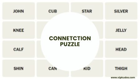 Connetction Puzzle